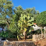 In With Swimming Pool * Veli Lošinj