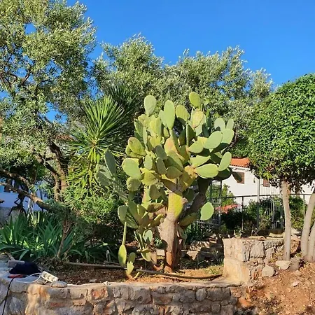 In With Swimming Pool * Veli Lošinj